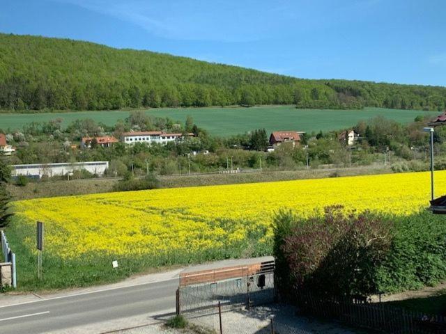 Ferienwohnung Werratal Obermassfeld-Grimmenthal Exterior foto